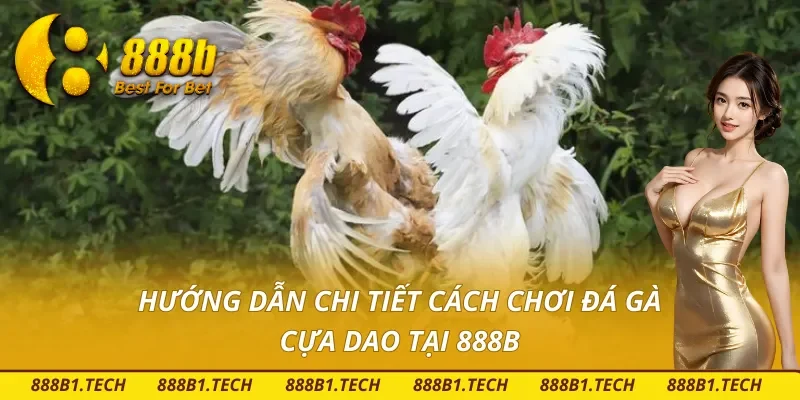 Hướng dẫn chơi đá gà cựa dao tại 888B