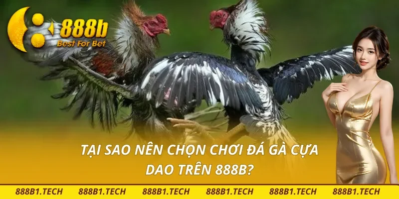 Nhà cái 888B uy tín minh bạch