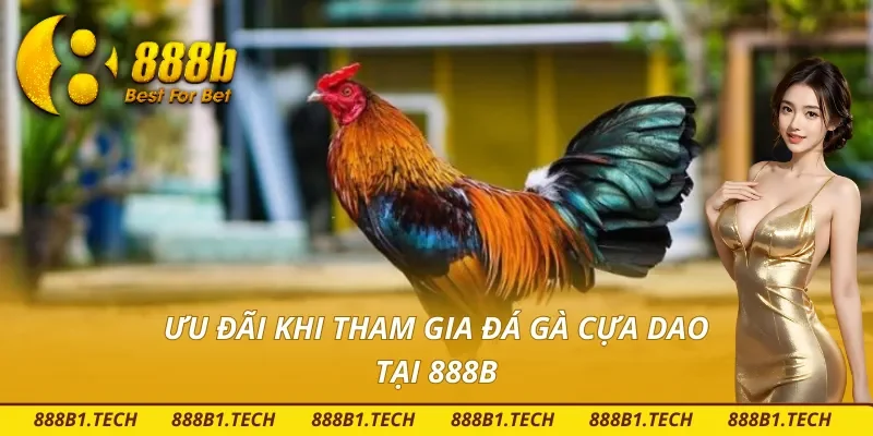 Ưu đãi đá gà cựa dao 888B