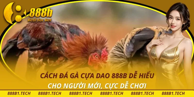 Cách Đá Gà Cựa Dao