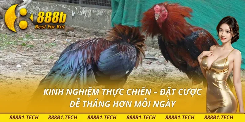 Kinh nghiệm dễ thắng chỉ có tại 888B